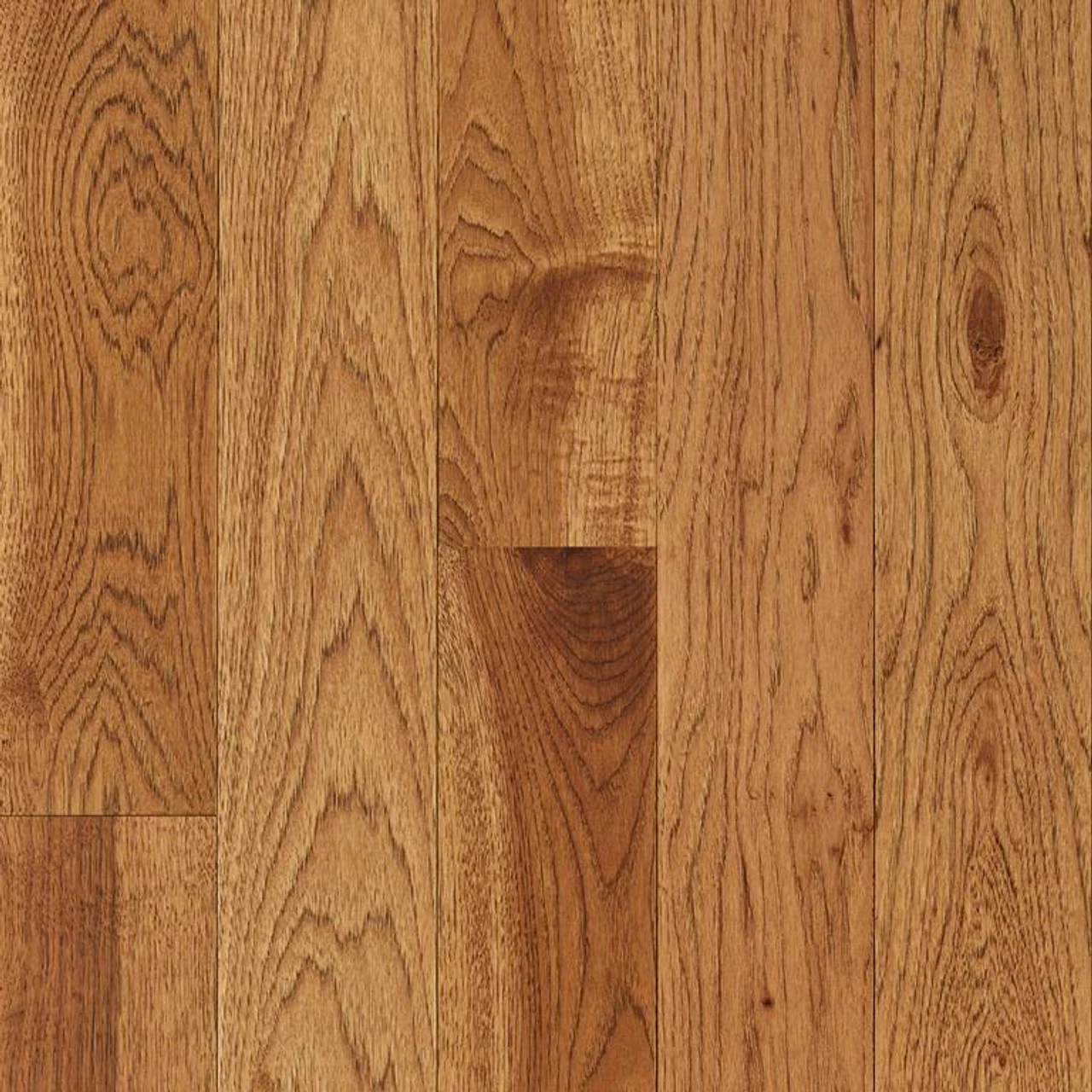 Robbins Natural Forest Smooth NFSH220S Suede Brown 3/4" X 5" Hickory Hardwood Flooring Robbins Natural Forest Smooth NFSH220S Suede Brown 3/4" X 5" Hickory Hardwood Flooring -Carpet And Flooring Stores 10009977 57293.1670533189