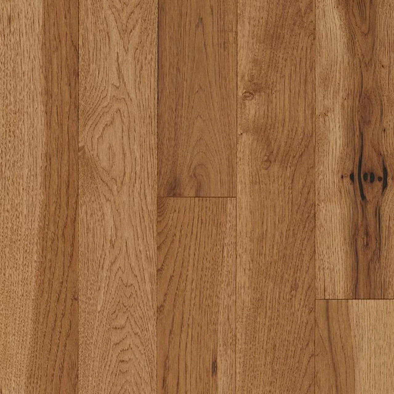 Robbins Natural Forest Smooth NFSH250S Creek Trail 3/4" X 5" Hickory Hardwood Flooring Robbins Natural Forest Smooth NFSH250S Creek Trail 3/4" X 5" Hickory Hardwood Flooring -Carpet And Flooring Stores 10010177 07568.1669053260