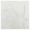 Achim Sterling Classic White With Grey Veins 12-in X 12-in Water Resistant Peel And Stick Vinyl Tile Flooring (20-sq Ft)