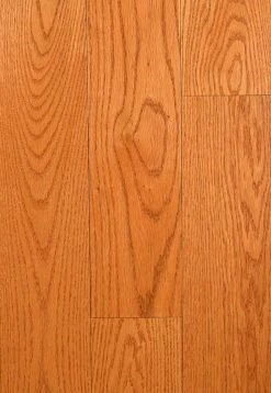 Nubrisa Premier Flooring SPKDF59H203 Colonial Oak 3/4" X 5" Oak Hardwood Flooring