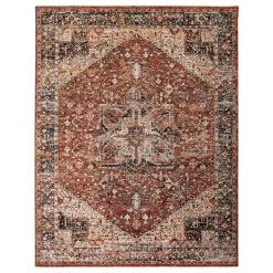 Feizy Rugs Caprio 2' X 3'4" Rust Area Rug