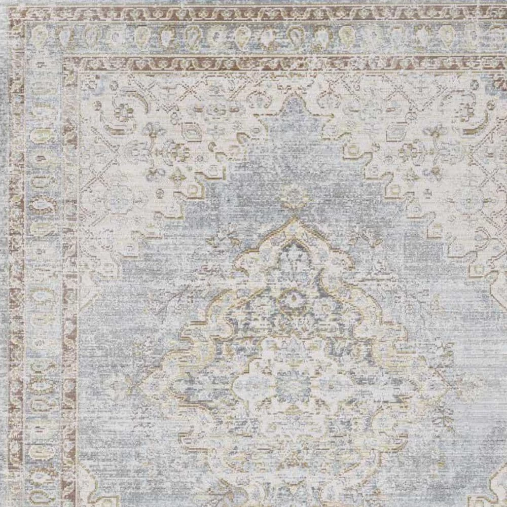 Amer Rugs Century 2' x 3' Gray and Ivory Area Rug Amer Rugs Century 2' X 3' Gray And Ivory Area Rug -Carpet And Flooring Stores 5730843 5