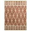 Amer Rugs Vista 2' X 3' Rust Area Rug