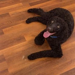 CALI Vinyl Pro Classic 10-Piece 7.12-in X 48-in Saddlewood Luxury Vinyl Plank Flooring -Carpet And Flooring Stores 810124034993 12028224 1800x1800