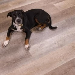 CALI Vinyl Pro Classic 10-Piece 7.12-in X 48-in Nantucket Harbor Luxury Vinyl Plank Flooring -Carpet And Flooring Stores 810124035051 12028214 1800x1800