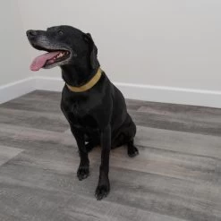 CALI Long-Board Vinyl Pro 6-Piece 9-in X 70.87-in Windswell Hickory Luxury Vinyl Plank Flooring -Carpet And Flooring Stores 810124039578 12534993 1800x1800