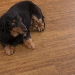 Cali Bamboo Cali Vinyl 10-Piece 7.125-in X 48.03-in Java Luxury Locking Vinyl Plank Flooring -Carpet And Flooring Stores 811465027521 08071466 1800x1800